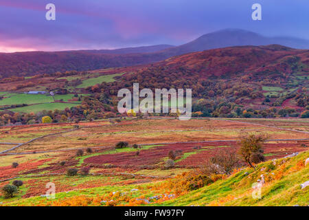 Dulyn Tal gesehen von Pen-y-Energiebereich eine Wallburg Bronzezeit nahe dem Dorf von Llanbedr-y-vieler, Conwy, Wales, Vereinigtes Königreich Stockfoto