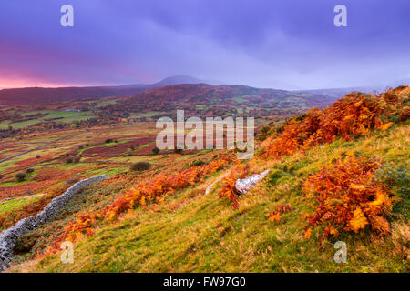 Dulyn Tal gesehen von Pen-y-Energiebereich eine Wallburg Bronzezeit nahe dem Dorf von Llanbedr-y-vieler, Conwy, Wales, Vereinigtes Königreich Stockfoto