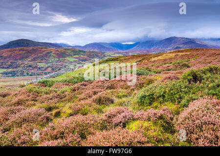 Dulyn Tal gesehen von Pen-y-Energiebereich eine Wallburg Bronzezeit nahe dem Dorf von Llanbedr-y-vieler, Conwy, Wales, Vereinigtes Königreich Stockfoto