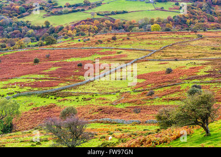 Dulyn Tal gesehen von Pen-y-Energiebereich eine Wallburg Bronzezeit nahe dem Dorf von Llanbedr-y-vieler, Conwy, Wales, Vereinigtes Königreich Stockfoto