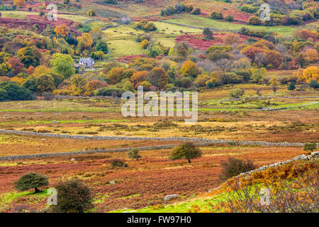 Dulyn Tal gesehen von Pen-y-Energiebereich eine Wallburg Bronzezeit nahe dem Dorf von Llanbedr-y-vieler, Conwy, Wales, Vereinigtes Königreich Stockfoto