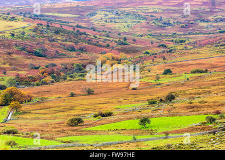 Dulyn Tal gesehen von Pen-y-Energiebereich eine Wallburg Bronzezeit nahe dem Dorf von Llanbedr-y-vieler, Conwy, Wales, Vereinigtes Königreich Stockfoto