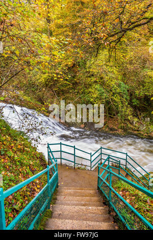 Swallow Falls befindet sich auf der Afon Llugwy in der Nähe von Betws-y-Coed, Conwy, Wales, Vereinigtes Königreich, Europa. Stockfoto