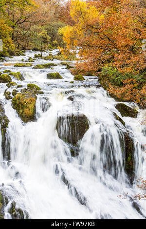 Swallow Falls befindet sich auf der Afon Llugwy in der Nähe von Betws-y-Coed, Conwy, Wales, Vereinigtes Königreich, Europa. Stockfoto