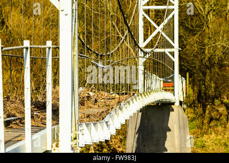 Schmutz und Schäden durch die Überflutung des Winter 2015 / 16 auf den Dinckley Steg über den Fluss Ribble in der Nähe von Ribchester Lancashire Stockfoto