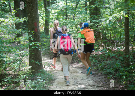 Caesars Head State Park in South Carolina Wanderung. Stockfoto