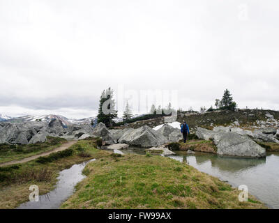 Kaukasischen Jüngling Wandern auf Whistler Blackcomb Trail in der Sommerzeit Stockfoto