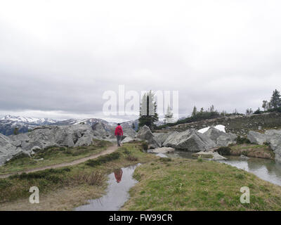 Junge Frau kaukasischen auf Whistler Blackcomb alpine Trail Wandern im Sommer Stockfoto