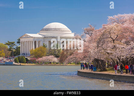 WASHINGTON, DC, USA - Thomas Jefferson Memorial und Kirschbäume Blüten am Tidal Basin. Stockfoto