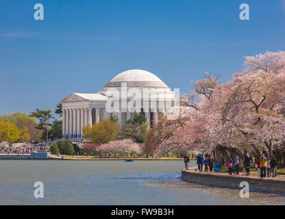 WASHINGTON, DC, USA - Thomas Jefferson Memorial und Kirschbäume Blüten am Tidal Basin. Stockfoto