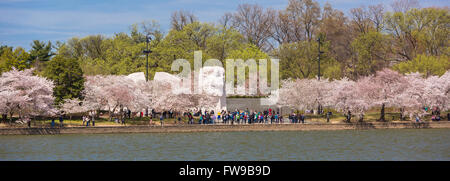 WASHINGTON, DC, USA - Martin Luther King, Jr. Memorial und Kirschbäume blühen am Tidal Basin. Stockfoto