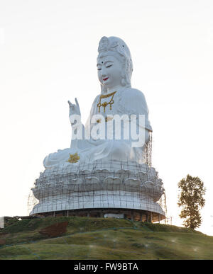 Riesige Guan Yin oder Kuan Yin Statue im Tempel Wat Huay Pla Kang, Sitzender Buddha auf Lotus-Blume, Provinz Chiang Rai, Thailand Stockfoto