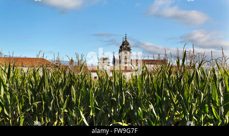 Maisfeld mit dem Kloster Tibaes im Hintergrund Stockfoto