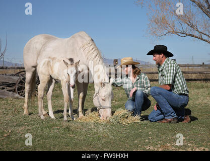 Westliches paar mit Mutter Pferd und Baby Fohlen in einem Feld Stockfoto