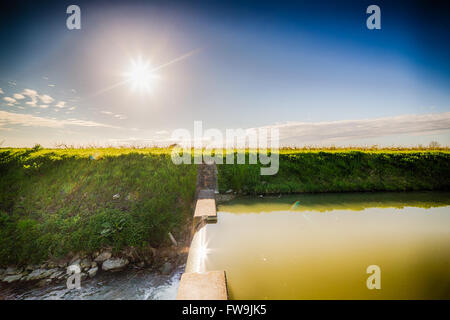 Moderne Bewässerung-Kanal, der durch den Feldern der Emilia Romagna in Italien läuft Stockfoto