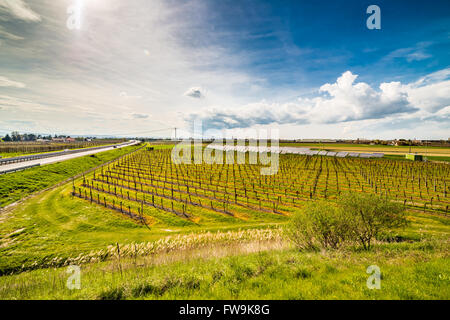 Reihen von Obstgärten neben Sonnenkollektoren in der Landschaft der Romagna Stockfoto