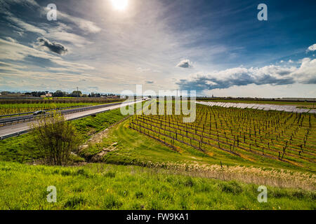 Reihen von Obstgärten neben Sonnenkollektoren in der Landschaft der Romagna Stockfoto