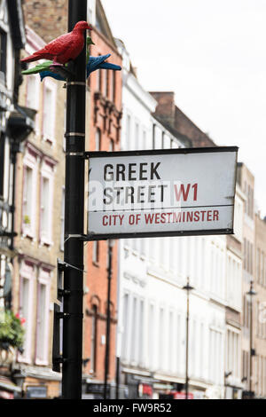 Patrick Murphy Tauben ruhen auf Straßenschild auf Griechisch Street London, UK Stockfoto