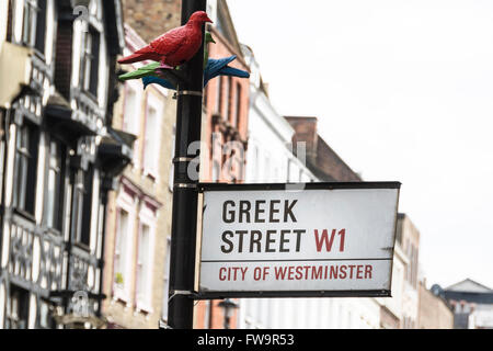 Patrick Murphy Tauben ruhen auf Straßenschild auf Griechisch Street London, UK Stockfoto