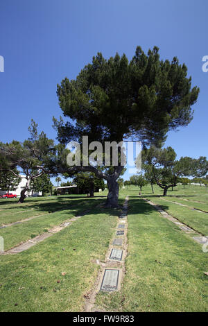 Letzte Ruhestätten - Holy Cross Cemetery Berühmtheit.  Mitwirkende: Mary Astor wo: Los Angeles, California, Vereinigte Staaten von Amerika als: 1. März 2016 Stockfoto