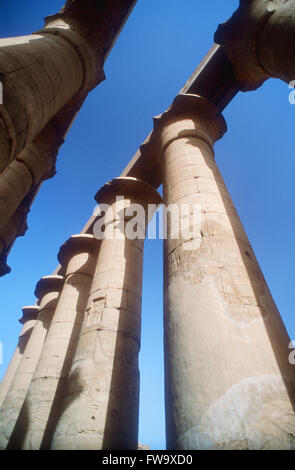 Blickte zu den Steinsäulen der Luxor-Tempel, Luxor, Ägypten Stockfoto