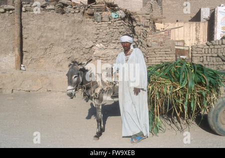 Ägyptischen Mann tragen traditionelle Kleidung mit einem Esel in der Nähe von Luxor, Ägypten Stockfoto