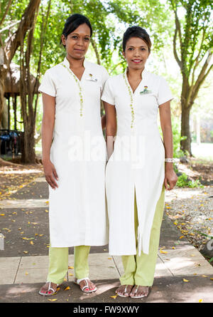 Personal im Spa Maritim Hotels in Mauritius. Stockfoto