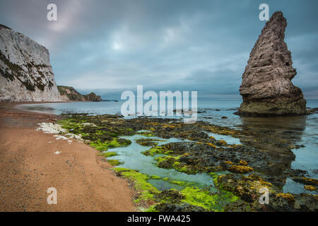 Felsformation im Jurrassic Küste Strand in Dorset, UK, Langzeitbelichtung Stockfoto