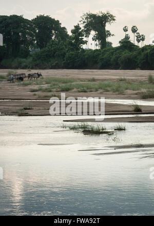 THANJAVUR, Indien - 15. Oktober 2013: Mann jede Menge Sand aus Vennar Fluss in einem Büffel gezogenen Wagen in die frühen Morgenstunden. Stockfoto
