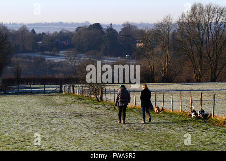 Frauen gehen Hunde an einem frostigen Morgen auf Wealdway zwischen Bidborough und Southborough, Tunbridge Wells, Kent, England Stockfoto