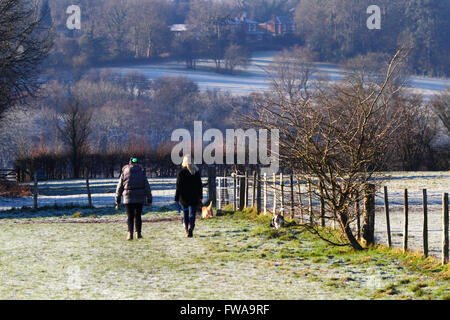 Frauen gehen Hunde an einem frostigen Morgen auf Wealdway zwischen Bidborough und Southborough, Tunbridge Wells, Kent, England Stockfoto