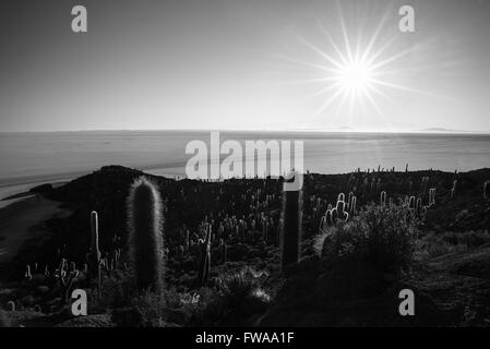 Die Sonne-Stern am Horizont über die majestätischen Uyuni Salz flach, unter das wichtigste Reiseziel in Bolivien. Breite angl Stockfoto