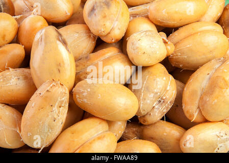 Salacca Obst und geschält Piled viele für Hintergrund Stockfoto