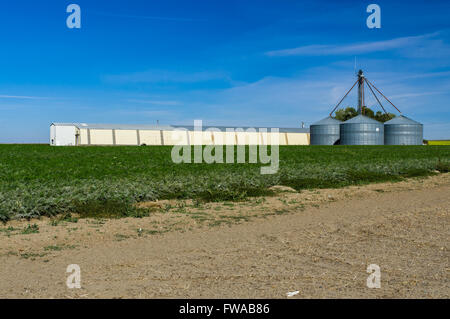 Metallsilos und Lagerhalle auf einem Bauernhof in eastern Washington, USA Stockfoto