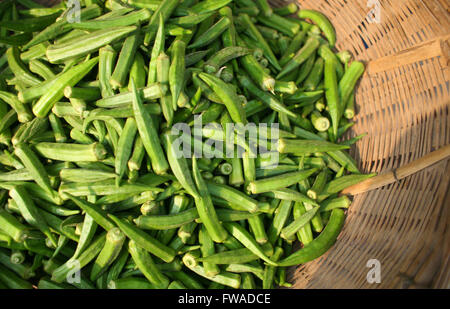 Frische Okra auf dem Bauernmarkt Stockfoto