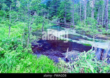 Dakesawa Creek in Kamikochi Nationalpark in Nagano, Japan Stockfoto