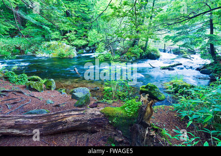 Myojin-Ike Outlet in Kamikochi Nationalpark in Nagano, Japan Stockfoto