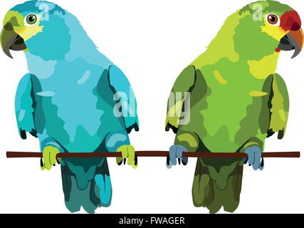 Illustration von zwei Papageien. Zwei Vektor Wellensittiche auf Ast Stock Vektor