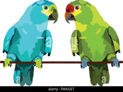 Illustration von zwei Papageien auf weißem Hintergrund. Zwei Vektor Wellensittiche Stock Vektor