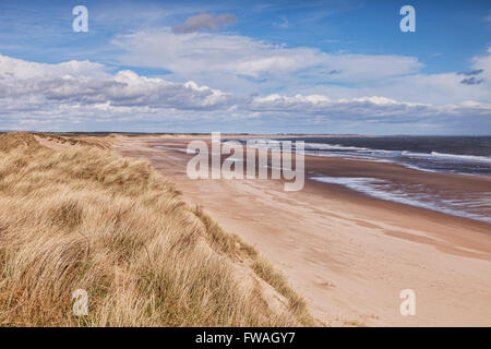 Dünen an der Druridge Bucht, Northumberland, England, UK Stockfoto