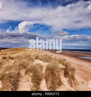 Dünen an der Druridge Bucht, Northumberland, England, UK Stockfoto