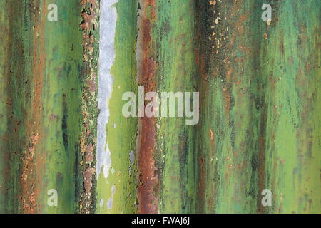 Grün lackiert verzinkt, gewellte Stahlblech Stockfoto