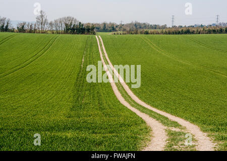 Doppelspur führt in die Ferne über Rasen gesät Ackerflächen Stockfoto