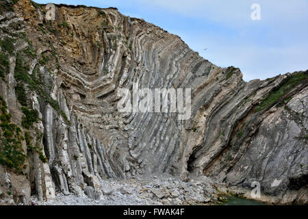 Erstaunliche Geologie von Stair Hole auf der Jurassic Coast. Ein Knautsch in Felsen in Dorset, welche Richtung der Falten.  In der Nähe von Lulworth Stockfoto