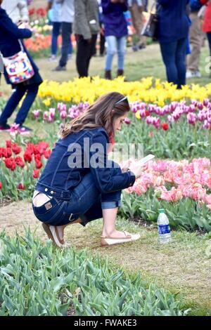 Frau unter Bild der schönen Blumen an der National Mall Tulpe Garten von DC Stockfoto