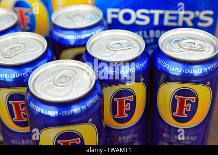 Dosen von australische Fosters Lager Stockfoto