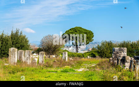 Das Amphitheater von Capua, das zweitgrößte amphitheater Stockfoto