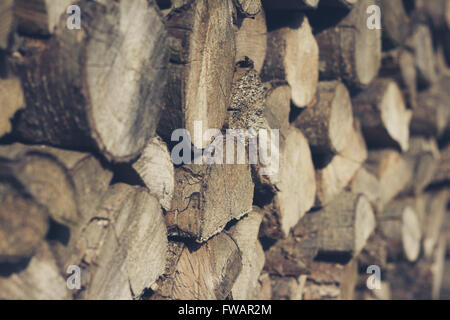 Holz - gestapelten Protokolle von Brennholz-Hintergrund Stockfoto