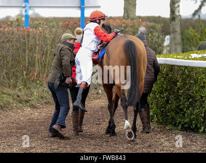 Victoria Pendleton reitet Pacha Du Polder, von Paul Nicholls, in der Betfair umschalten Sättel Jäger Steeple Chase bei Wincanton ausgebildet. Pendleton ist GBS erfolgreichste weibliche Olympioniken und hofft, in der Foxhunters Chase in Cheltenham Fest konkurrieren Stockfoto