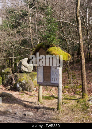 Sælandskogen in Jæren außerhalb Stavanger Norwegen ein beliebtes Gebiet für den Sonntag Wandern, Auslegung-Board mit Fichte an der Spitze Stockfoto